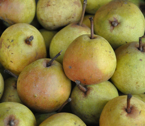 poire à botzi